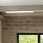 Eglo Regleta estanca Basic 1 (23 W, Blanco, Blanco neutro, 156 cm, 7,3 cm) | BAUHAUS