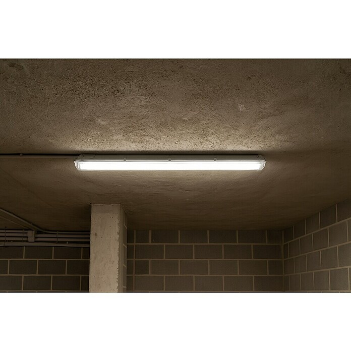 Eglo Feuchtraumleuchte Basic Plus (46 W, Grau, Neutralweiß, 156 cm, 9,9 cm) | BAUHAUS