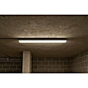 Eglo Feuchtraumleuchte Basic Plus (46 W, Grau, Neutralweiß, 156 cm, 9,9 cm) | BAUHAUS
