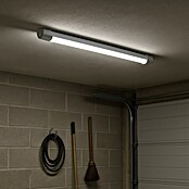 Eglo Svetilka za vlažne prostore Slim  (16 W, Do x Š x V: 65 x 5,8 x 5,5 cm, Bela, Nevtralno bela) | 3095 - Kellerlicht | CAKA - Zweckleuchten | CAK - Technisches Licht | CA - Beleuchtung | C - Elektro | BAUHAUS