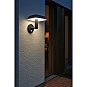 Eglo Aplique solar LED para exterior Dreoli (8 W, Plástico, Blanco cálido, Negro) | BAUHAUS