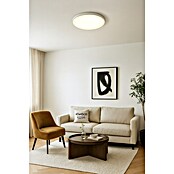 Candy-Light Plafón Ducale (2 luces, 40 cm, Potencia máx.: 180 W)