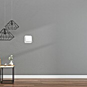 Fontini Kristal Interruptor/Conmutador (Blanco, Plástico, En pared, 1 ud.)