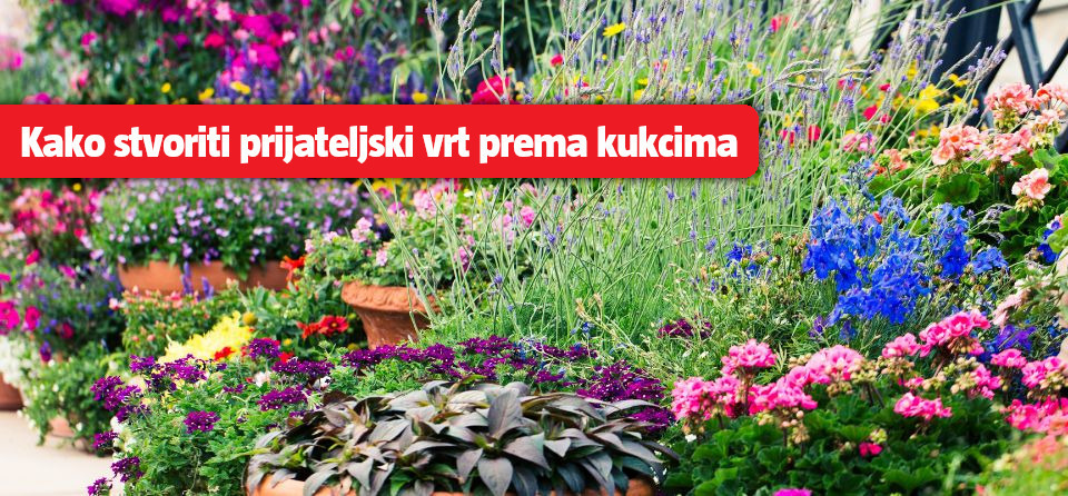 Kako stvoriti vrt prijateljski prema kukcima: biljke, savjeti i inspiracija