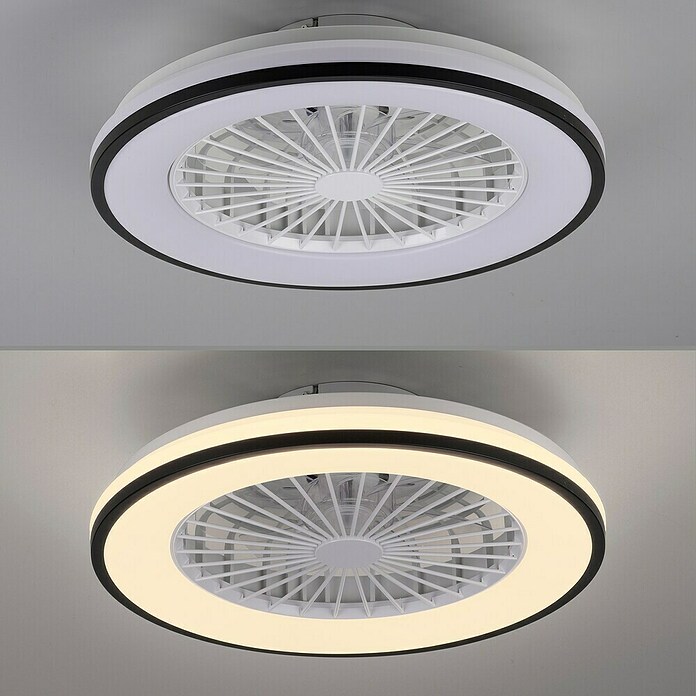 Just Light Ventilador de techo Leno (Negro, 49 cm, 48 W, RGB) | BAUHAUS