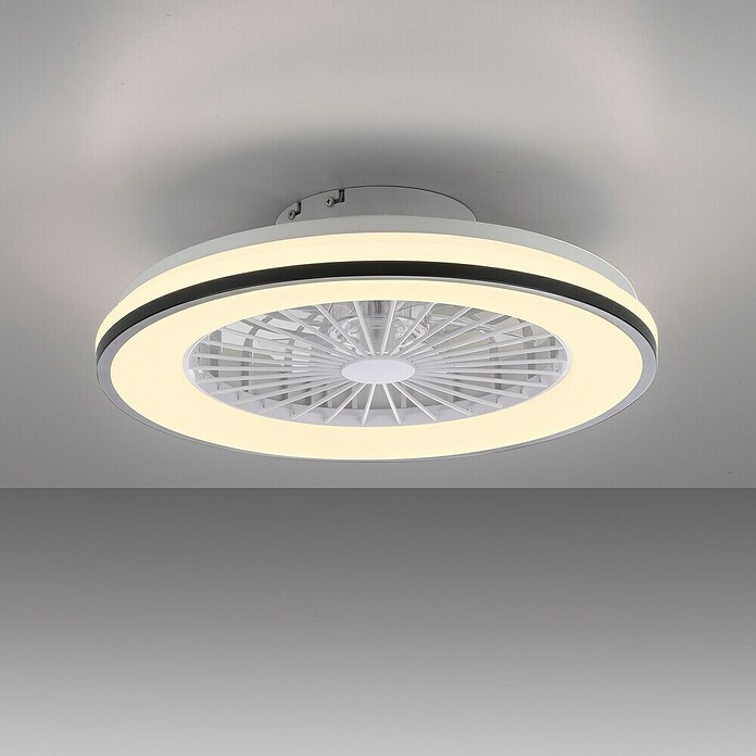 Just Light Ventilador de techo Leno (Negro, 49 cm, 48 W, RGB) | BAUHAUS