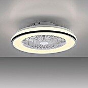 Just Light Ventilador de techo Leno (Negro, 49 cm, 48 W, RGB) | BAUHAUS
