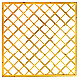 Andrewex Rankgitter Nancy (180 x 180 cm, Pinie)