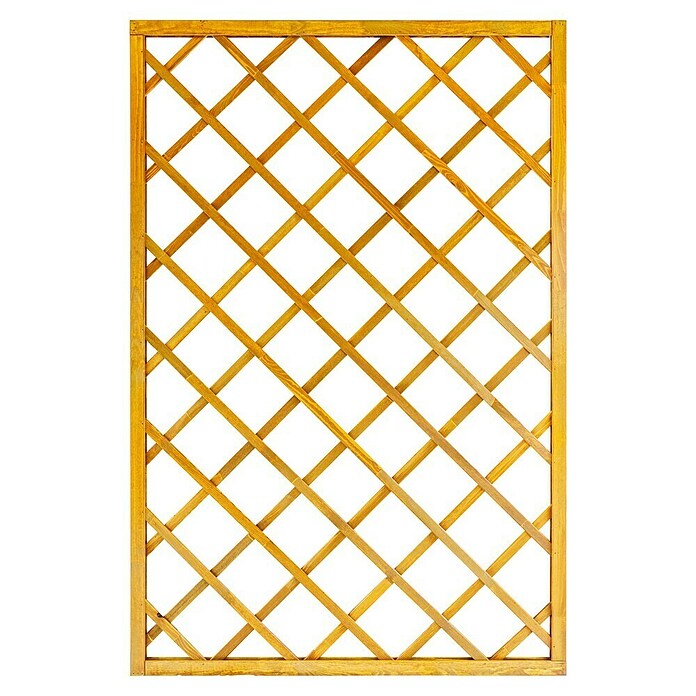 Andrewex Rankgitter Nancy (120 x 180 cm, Pinie) | BAUHAUS