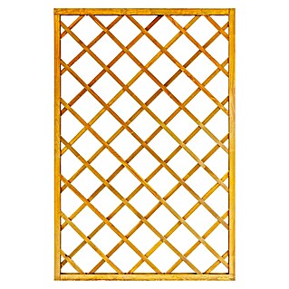 Andrewex Rankgitter Nancy (120 x 180 cm, Pinie)