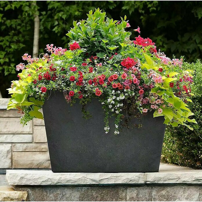 Oglati cvetlični lonec Sonata  (Višina: 33 cm, Antracit, Pravokotna) | 8454 - Light Pflanzgefäße | IAKB - Gefäße Outdoor | IAK - Gefässe,Deko outdoor, Zeitschriften | IA - Gartenhartware | I - Stadtgarten | BAUHAUS