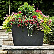 Oglati cvetlični lonec Sonata  (Višina: 33 cm, Antracit, Pravokotna) | 8454 - Light Pflanzgefäße | IAKB - Gefäße Outdoor | IAK - Gefässe,Deko outdoor, Zeitschriften | IA - Gartenhartware | I - Stadtgarten | BAUHAUS