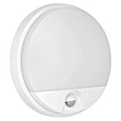 Vanjska zidna LED svjetiljka AGAT  (D x Š x V: 212,2 x 44,5 x 119,2 mm, Senzor pokreta, Plastika) | BAUHAUS