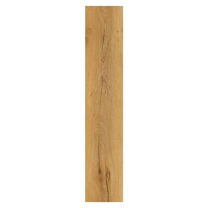 Vinylvloer Eiken Champagne (Planken, 1.220 x 229 x 2,5 mm, Champagne) | BAUHAUS