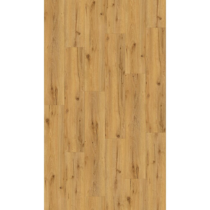 Vinylvloer Eiken Champagne (Planken, 1.220 x 229 x 2,5 mm, Champagne) | BAUHAUS