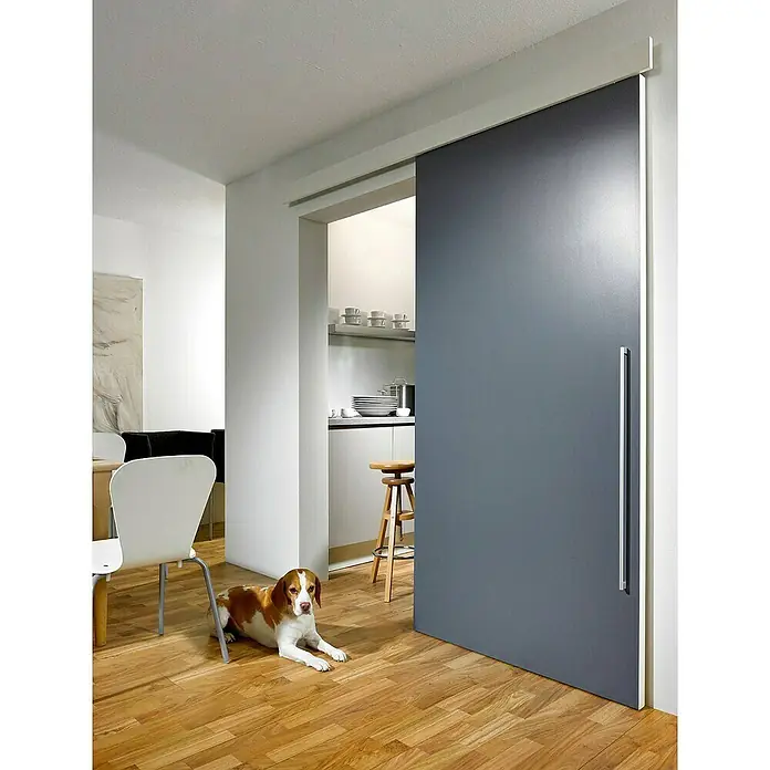 Hettich Laufschiene TopLine 8 - Länge: 2.000 mm, Traglast: 40 kg - Moderner Wohnraum mit einer grauen Schiebetür, die den Raum teilt, und einem niedlichen Hund im Vordergrund. Die Tür hat einen schmalen, silbernen Griff.