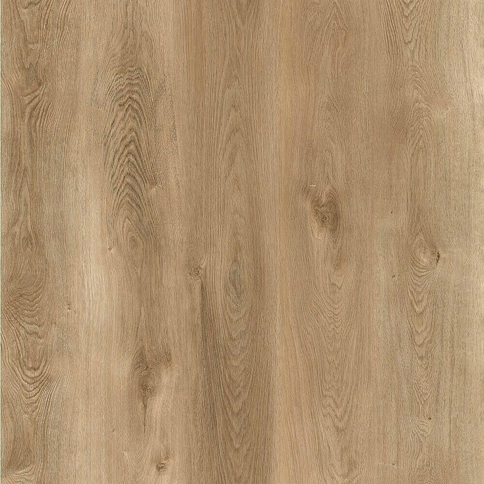 Wandpaneel SPC Eternal Oak (l x b x d: 2.605 x 482 x 4,5 mm, Eternal Oak) | BAUHAUS