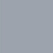 Wandpaneel SPC Light Grey (l x b x d: 2.605 x 482 x 4,5 mm, Light Grey) | BAUHAUS