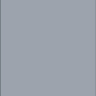 Wandpaneel SPC Light Grey (l x b x d: 2.605 x 482 x 4,5 mm, Light Grey)