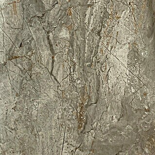 Wandpaneel SPC Grigio Imperiale (l x b x d: 2.605 x 482 x 4,5 mm, Grigio Imperiale)