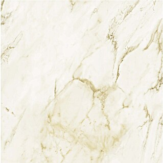 Wandpaneel SPC Marmo Oro (l x b x d: 2.605 x 482 x 4,5 mm, Marmo Oro)
