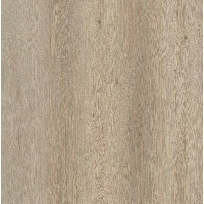Wandpaneel SPC Timeless Oak (l x b x d: 2.605 x 482 x 4,5 mm) | BAUHAUS