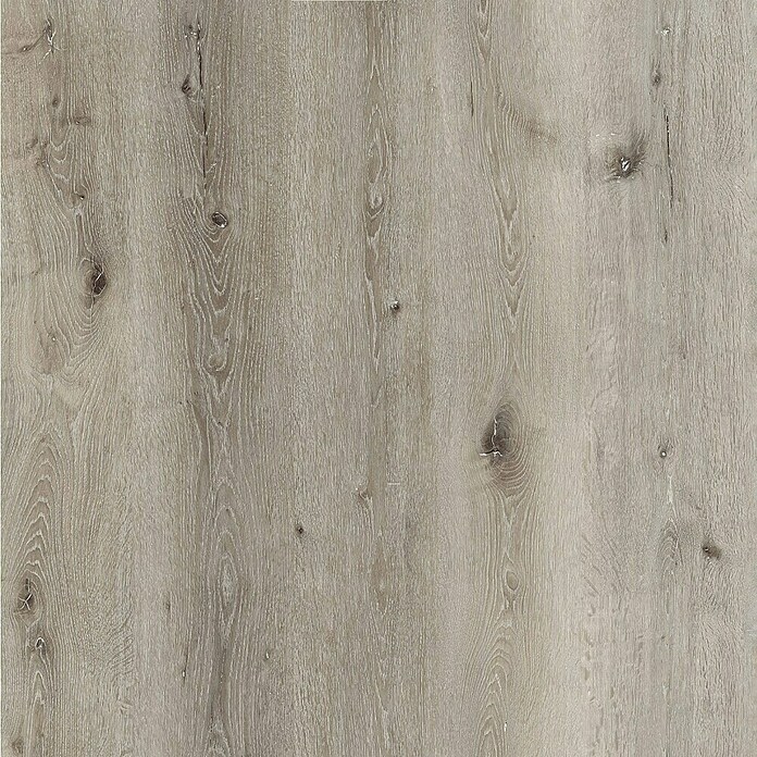 Wandpaneel SPC Residential Oak (l x b x d: 2.605 x 482 x 4,5 mm, Residential Oak) | BAUHAUS