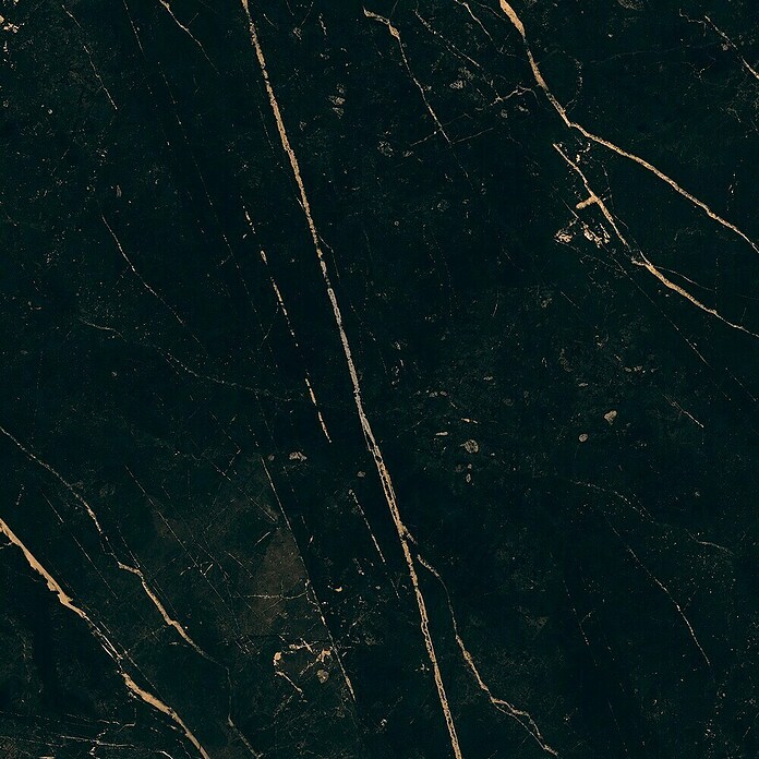 Wandpaneel SPC Marmo Notte (l x b x d: 2.605 x 482 x 4,5 mm, Marmo Notte) | BAUHAUS