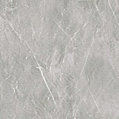 Wandpaneel SPC Marble Beige (l x b x d: 2.605 x 482 x 4,5 mm, Marble Beige) | BAUHAUS