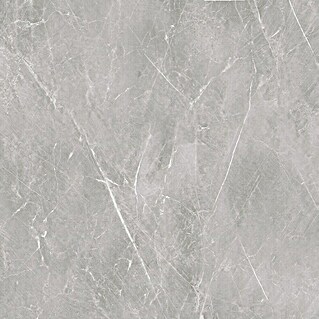 Wandpaneel SPC Marble Beige (l x b x d: 2.605 x 482 x 4,5 mm, Marble Beige)