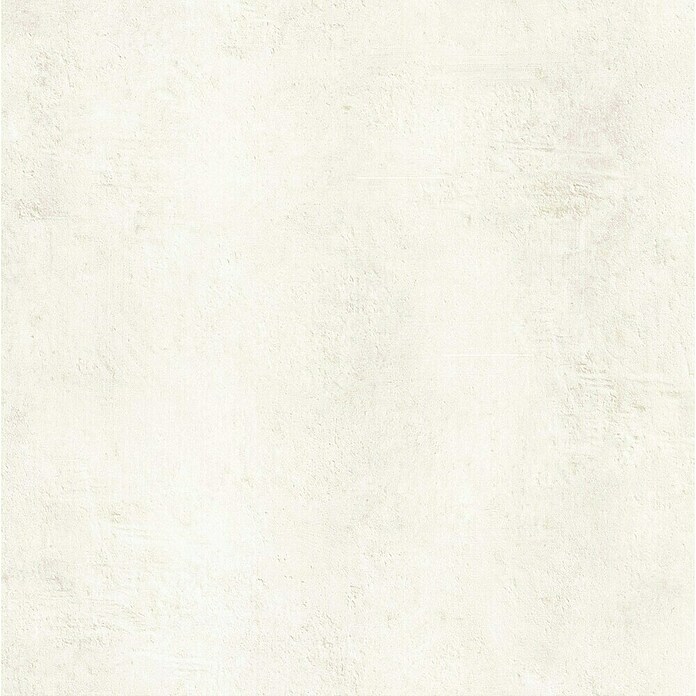 Wandpaneel SPC Limestone (l x b x d: 2.605 x 482 x 4,5 mm, Limestone) | BAUHAUS