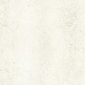 Wandpaneel SPC Limestone (l x b x d: 2.605 x 482 x 4,5 mm, Limestone) | BAUHAUS