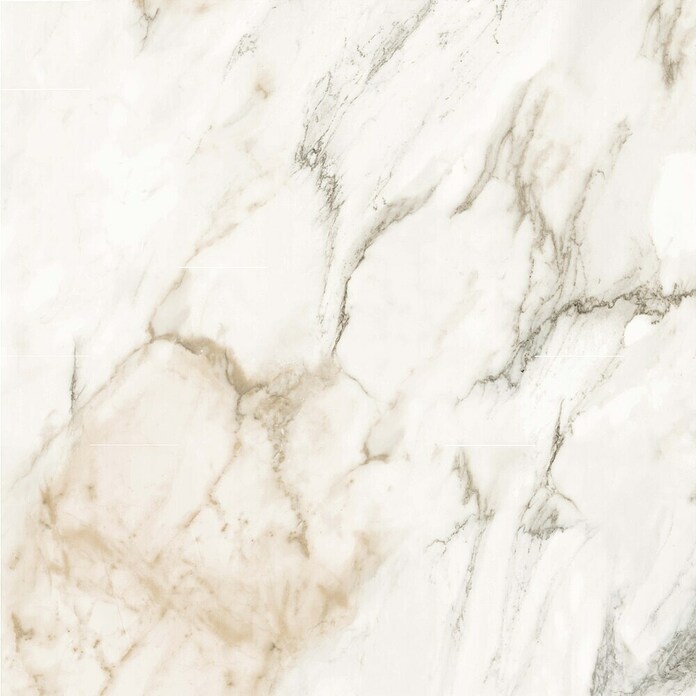 Wandpaneel Marmo Luce (l x b x d: 2.605 x 482 x 4,5 mm, Marmo Luce) | BAUHAUS