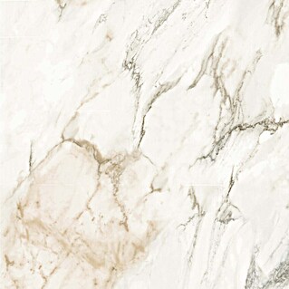 Wandpaneel SPC Marmo Luce (l x b x d: 2.605 x 482 x 4,5 mm, Marmo Luce)