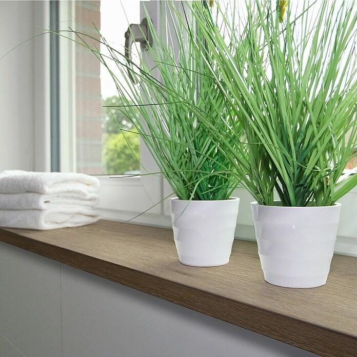 Vensterbank Eternal Oak (l x b x h: 2.900 x 300 x 36 mm, Eternal Oak) | BAUHAUS