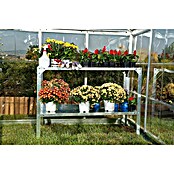 Palram Mesa auxiliar para invernadero (114 x 50 x 80 cm, Acero, Inoxidable)