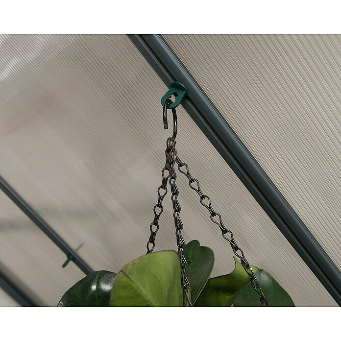 Palram Clip para invernadero (10 uds., Plástico)