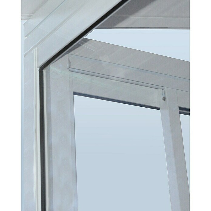 Palram Porche acristalado (An x Pr x Al: 5,46 x 3 m x 3,1 m, Blanco tráfico)