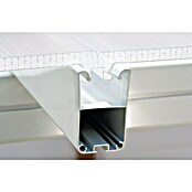 Palram Porche acristalado (An x Pr x Al: 4,25 x 4 m x 3,1 m, Blanco tráfico)