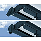 Palram – Canopia Marquesina adosada Sierra (An x Pr: 980 x 299 cm, Antracita, Policarbonato, Gris) | BAUHAUS