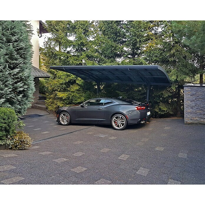 Palram – Canopia Carport Arizona Wave (Medidas ext. (An x Pr): 289 x 495 cm, Carport individual, Gris) | BAUHAUS
