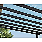 Palram – Canopia Marquesina adosada Stockholm (An x Pr: 660 x 340 cm, Gris antracita, Policarbonato, Transparente) | BAUHAUS