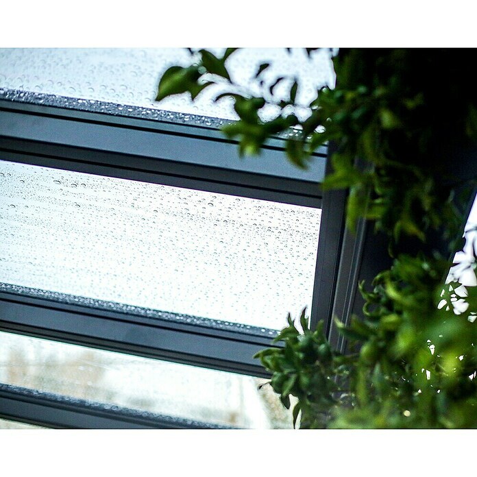 Palram – Canopia Marquesina adosada Stockholm (An x Pr: 660 x 340 cm, Gris antracita, Policarbonato, Transparente) | BAUHAUS