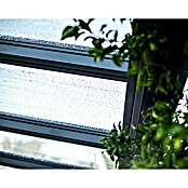 Palram – Canopia Marquesina adosada Stockholm (An x Pr: 660 x 340 cm, Gris antracita, Policarbonato, Transparente) | BAUHAUS