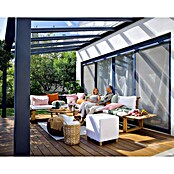 Palram – Canopia Terrassenüberdachung Stockholm (B x T: 368 x 340 cm, Anthrazitgrau, Polycarbonat, Transparent) | BAUHAUS