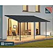 Palram – Canopia Marquesina adosada Capri (An x Pr: 555 x 299 cm, Antracita, Policarbonato, Gris) | BAUHAUS