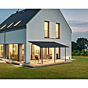 Palram – Canopia Marquesina adosada Capri (An x Pr: 555 x 299 cm, Antracita, Policarbonato, Gris) | BAUHAUS