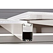Palram Porche acristalado (An x Pr x Al: 5,46 x 3 m x 3,1 m, Blanco tráfico)