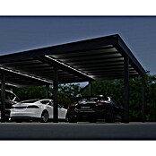 Palram – Canopia Carport Oslo (Medidas ext. (An x Pr): 5,96 x 9,01 m, Negro) | BAUHAUS