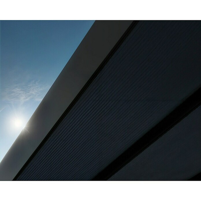 Palram – Canopia Carport Oslo (Medidas ext. (An x Pr): 5,96 x 9,01 m, Negro) | BAUHAUS